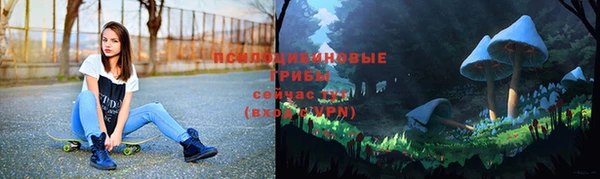 прущий лед Алексин