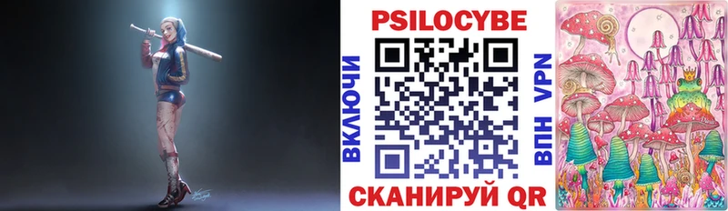 Галлюциногенные грибы Psilocybine cubensis  Новый Уренгой 